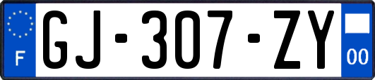 GJ-307-ZY