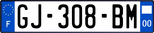 GJ-308-BM