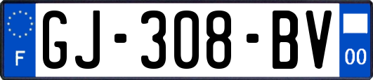 GJ-308-BV