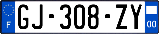 GJ-308-ZY