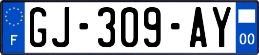 GJ-309-AY