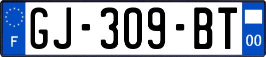 GJ-309-BT