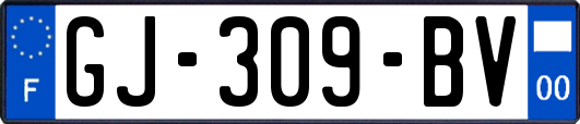 GJ-309-BV