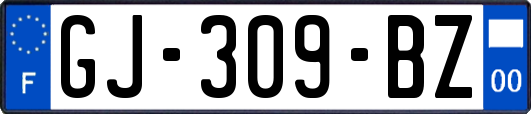 GJ-309-BZ