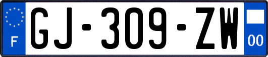 GJ-309-ZW
