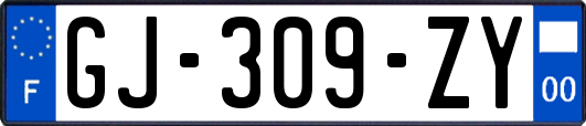 GJ-309-ZY