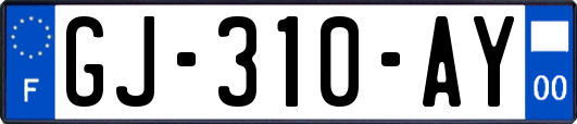 GJ-310-AY