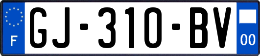 GJ-310-BV