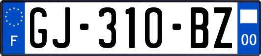 GJ-310-BZ