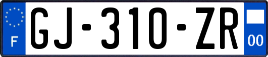 GJ-310-ZR