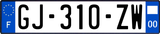 GJ-310-ZW