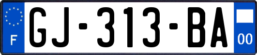 GJ-313-BA