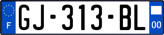 GJ-313-BL