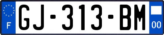 GJ-313-BM