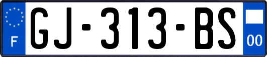 GJ-313-BS