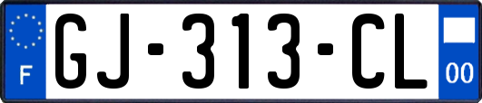 GJ-313-CL