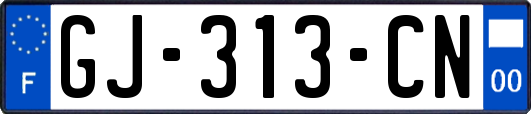 GJ-313-CN