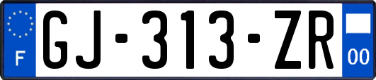 GJ-313-ZR