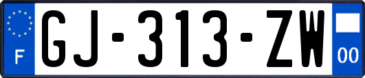 GJ-313-ZW