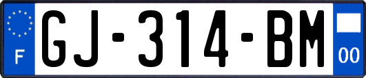 GJ-314-BM