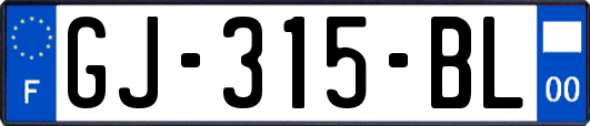 GJ-315-BL