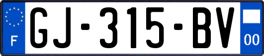 GJ-315-BV