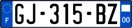 GJ-315-BZ