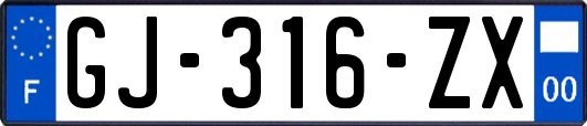 GJ-316-ZX