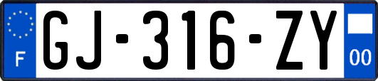 GJ-316-ZY