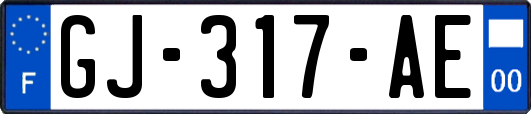 GJ-317-AE