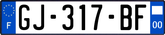 GJ-317-BF