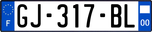 GJ-317-BL