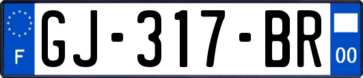 GJ-317-BR