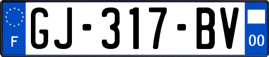 GJ-317-BV