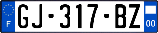 GJ-317-BZ