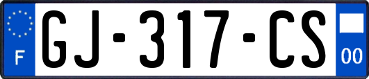 GJ-317-CS