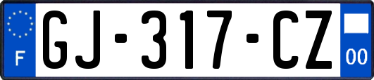 GJ-317-CZ