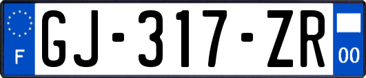 GJ-317-ZR
