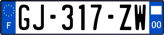 GJ-317-ZW