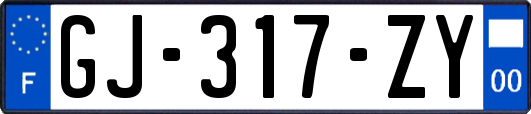 GJ-317-ZY