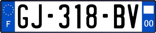 GJ-318-BV