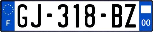 GJ-318-BZ