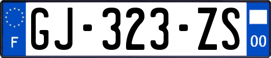 GJ-323-ZS