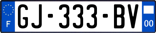 GJ-333-BV