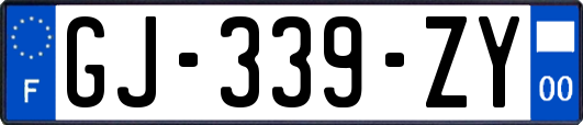 GJ-339-ZY