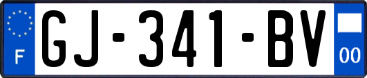 GJ-341-BV