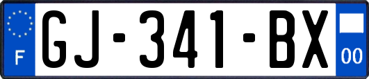 GJ-341-BX