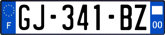 GJ-341-BZ