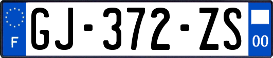 GJ-372-ZS