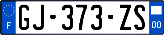 GJ-373-ZS